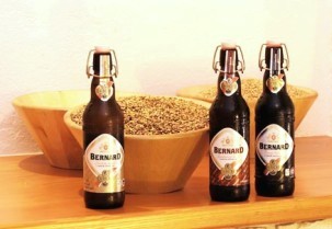 чешское пиво Бернард