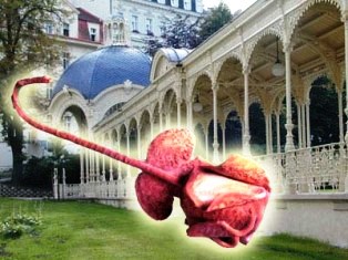 suveniry karlovy vary карловарские сувениры